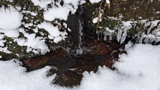 이정운님의 자유주제 · 자유게시판 작성글 사진