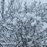 팜모닝 설날 계획 공유해요·참여글 게시글 이미지