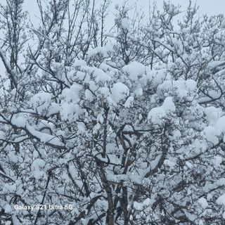 이천산수유님의 설날 계획 공유해요 · 참여글 작성글 사진