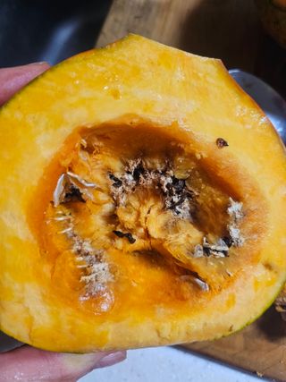 farmer님의 자유주제 · 자유게시판 작성글 사진