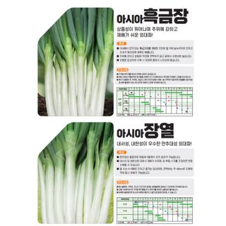 아시아종묘님의 자유주제 · 자유게시판 작성글 사진