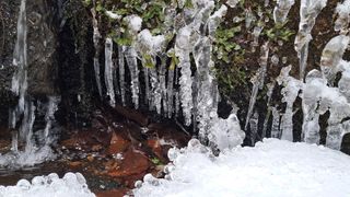 이정운님의 자유주제 · 자유게시판 작성글 사진
