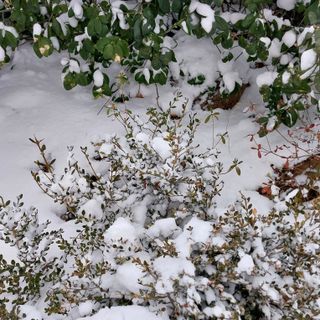 박수연님의 자유주제 · 자유게시판 작성글 사진