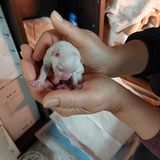 팜모닝 자유주제·자유게시판 게시글 이미지