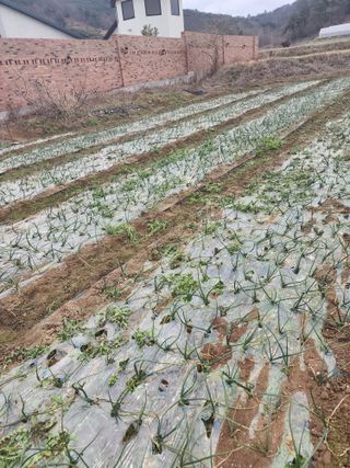 박정석님의 자유주제 · 자유게시판 작성글 사진