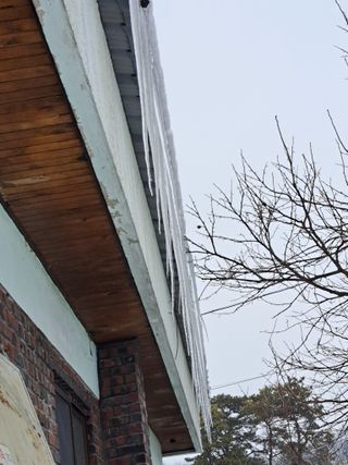 좋은인연원님의 자유주제 · 자유게시판 작성글 사진