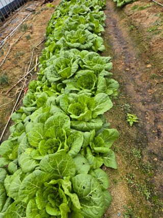 노아님의 자유주제 · 자유게시판 작성글 사진