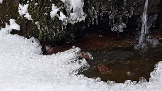 이정운님의 자유주제 · 자유게시판 작성글 사진