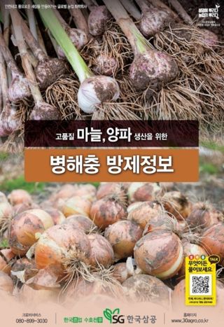 대산농사대장님의 마늘·비료•농약 작성글 사진