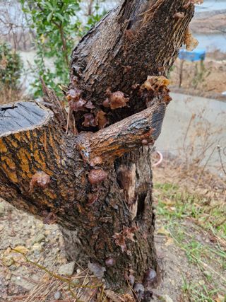 박천영님의 자유주제 · 자유게시판 작성글 사진