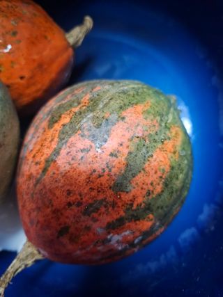 farmer님의 자유주제 · 자유게시판 작성글 사진