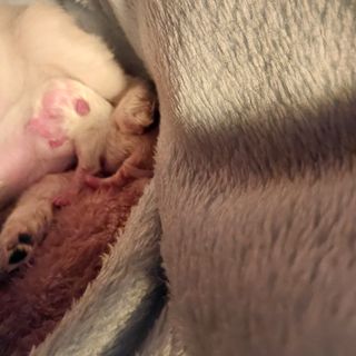 박수연님의 자유주제 · 자유게시판 작성글 사진