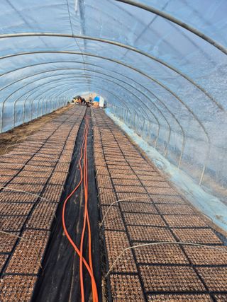 병풍취산채농원님의 자유주제 · 자유게시판 작성글 사진