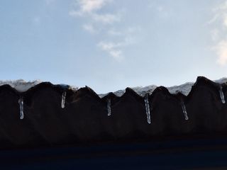 자두20879님의 자유주제 · 자유게시판 작성글 사진