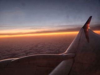 kis님의 자유주제 · 자유게시판 작성글 사진