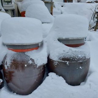 박수연님의 자유주제 · 자유게시판 작성글 사진