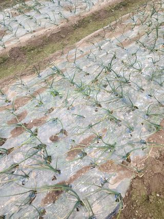 박정석님의 자유주제 · 자유게시판 작성글 사진