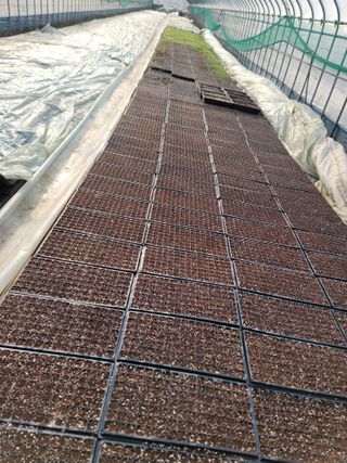 병풍취산채농원님의 자유주제 · 자유게시판 작성글 사진