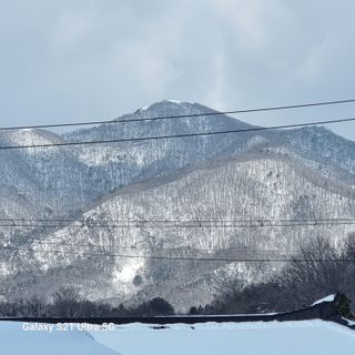 이천산수유님의 설날 계획 공유해요 · 참여글 작성글 사진