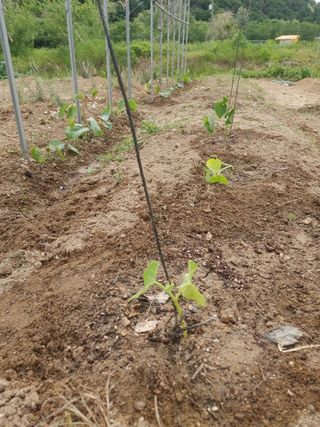 안전요원님의 농업인 건보료 지원확대, 찬성vs반대 · 참여글 작성글 사진