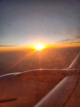 kis님의 자유주제 · 자유게시판 작성글 사진