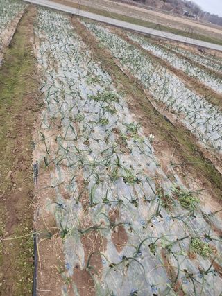 박정석님의 자유주제 · 자유게시판 작성글 사진