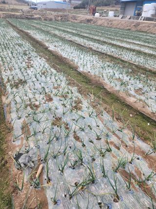 박정석님의 자유주제 · 자유게시판 작성글 사진