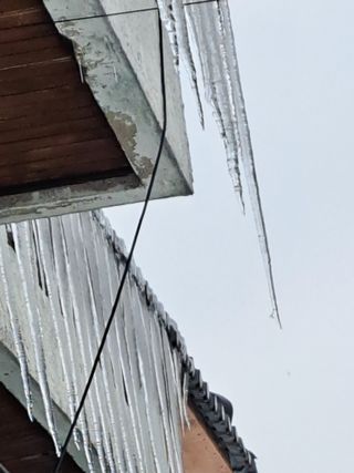 좋은인연원님의 자유주제 · 자유게시판 작성글 사진