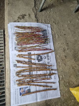 김용대님의 자유주제 · 자유게시판 작성글 사진