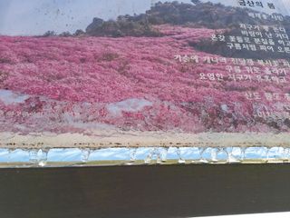 자두20879님의 자유주제 · 자유게시판 작성글 사진