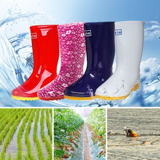 일꾼의탄생님의 작성글 사진