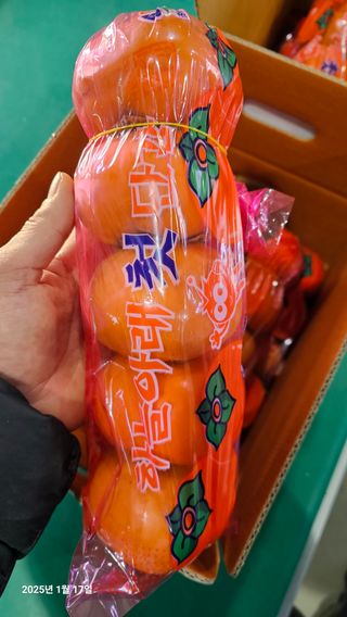 주하네팜(태추,부유님의 자유주제 · 자유게시판 작성글 사진