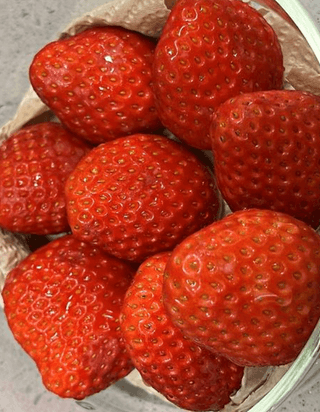 MSG0074님의 자유주제 · 자유게시판 작성글 사진