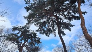 이정운님의 자유주제 · 자유게시판 작성글 사진