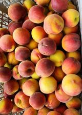 팜모닝 농업인 건보료 지원확대, 찬성vs반대·참여글 게시글 이미지