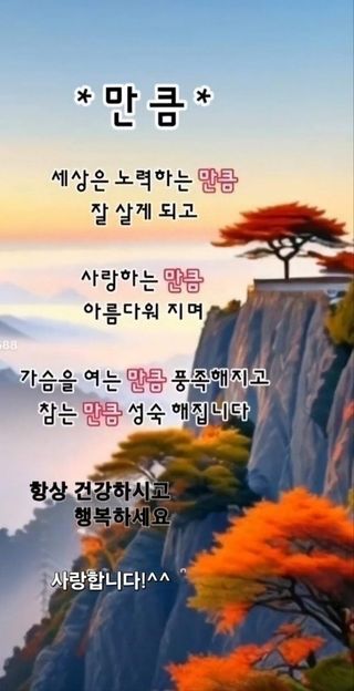 MSG0074님의 자유주제 · 자유게시판 작성글 사진