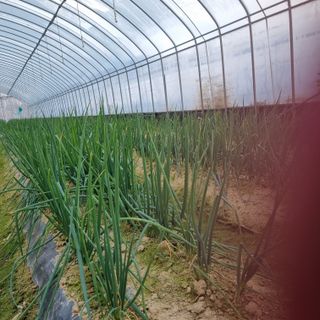 삼천만님의 농업인 건보료 지원확대, 찬성vs반대 · 참여글 작성글 사진