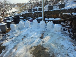 류만수님의 자유주제 · 자유게시판 작성글 사진