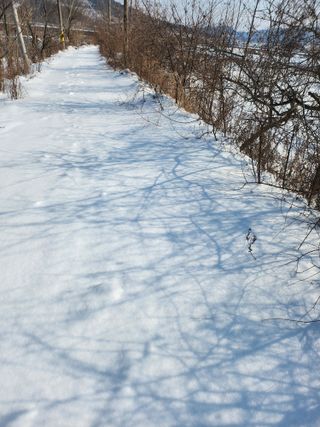백화산지킴이산야초님의 자유주제 · 자유게시판 작성글 사진