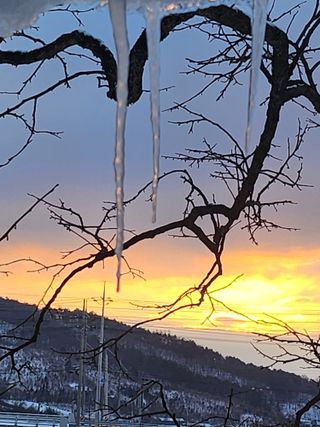 백화산지킴이산야초님의 자유주제 · 자유게시판 작성글 사진