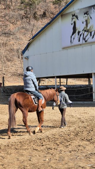 고영희님의 설날 계획 공유해요 · 참여글 작성글 사진