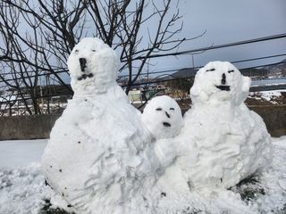 백화산지킴이산야초님의 자유주제 · 자유게시판 작성글 사진