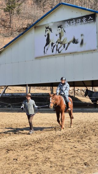 고영희님의 설날 계획 공유해요 · 참여글 작성글 사진