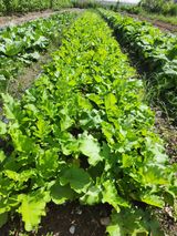 팜모닝 농업인 건보료 지원확대, 찬성vs반대·참여글 게시글 이미지