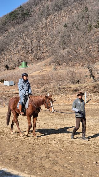 고영희님의 설날 계획 공유해요 · 참여글 작성글 사진