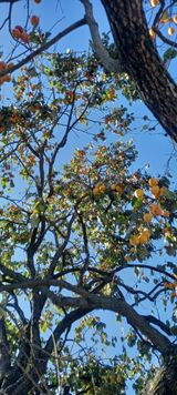 팜모닝 농업인 건보료 지원확대, 찬성vs반대·참여글 게시글 이미지