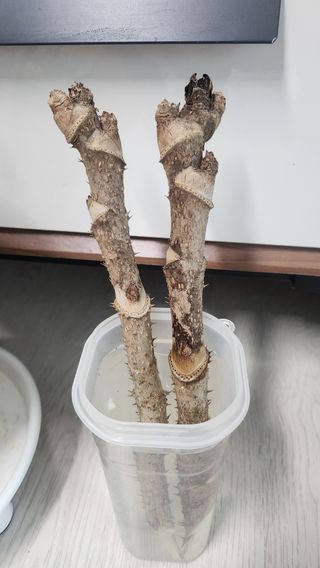 정미리님의 자유주제 · 자유게시판 작성글 사진