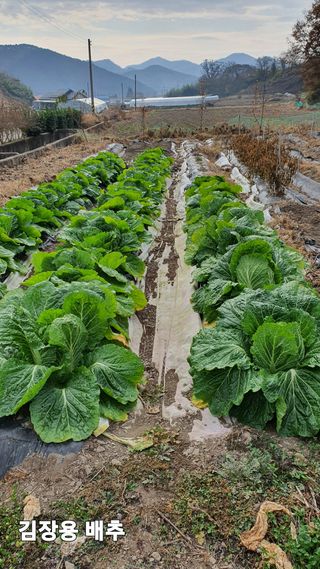 두채균님의 농업인 건보료 지원확대, 찬성vs반대 · 참여글 작성글 사진
