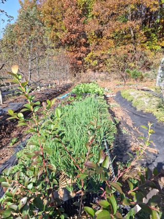 박광현님의 농업인 건보료 지원확대, 찬성vs반대 · 참여글 작성글 사진