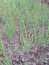 팜모닝 농업인 건보료 지원확대, 찬성vs반대·참여글 게시글 이미지